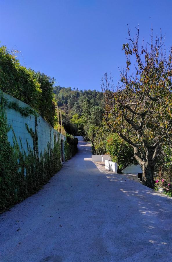 Pera Da Serra - Turismo No Espaco Rural 洛萨 外观 照片